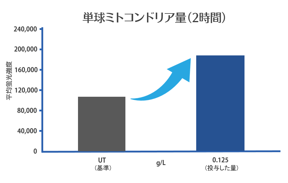 単球ミトコンドリア量2時間