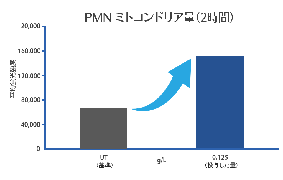 2時間のPMNミトコンドリア量の変化