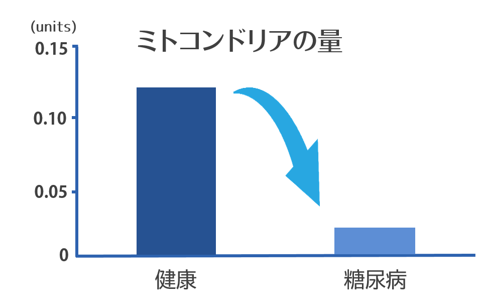 健康な人と糖尿病の人のミトコンドリアの量の比較グラフ。